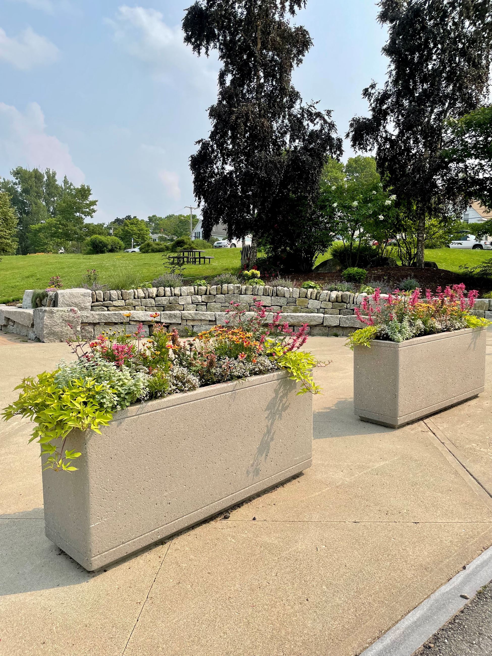 Photo of Belfast Commons - 1